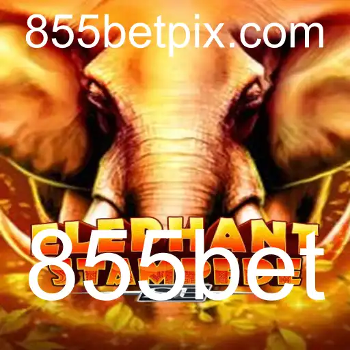 ElephantStampedeSE: Descubra o Novo Fenômeno dos Jogos de Azar com 855bet