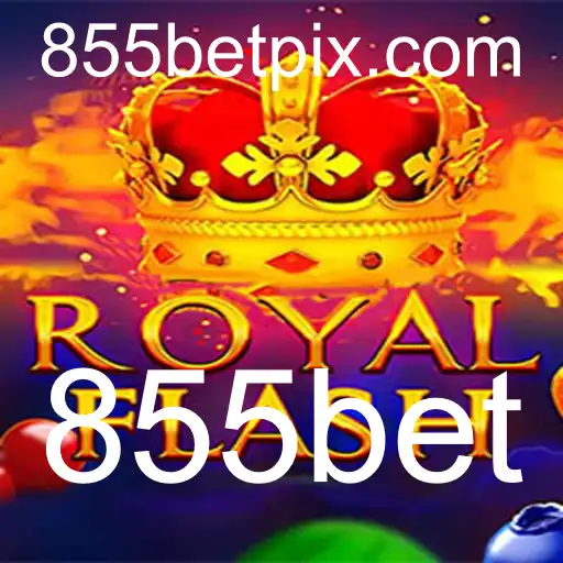 Desvendando o Mundo de RoyalFlash: Regras e Novidades